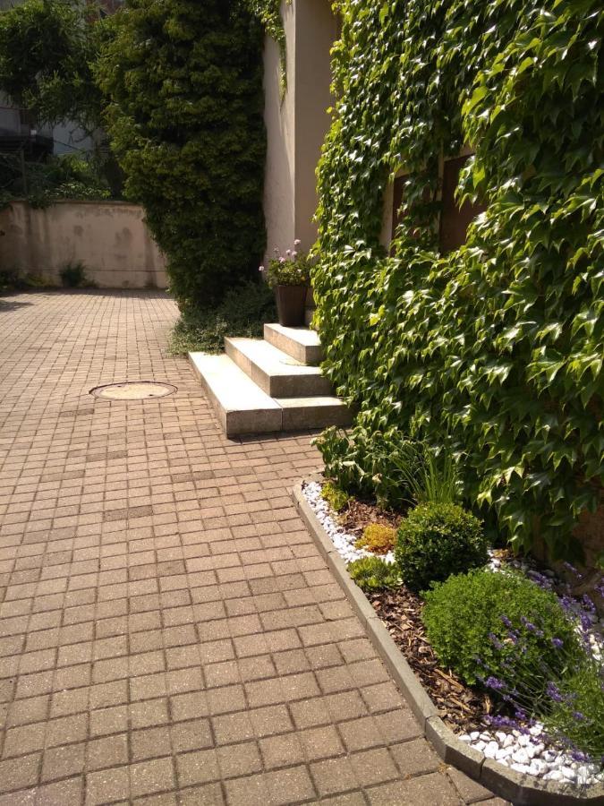 Penzion Bazalka Яблонец над Нисоу Екстериор снимка